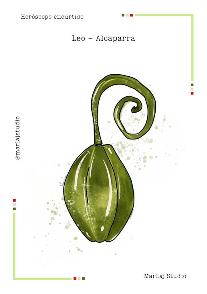 Lámina ilustrada de alcaparra en acuarela para el signo Leo — Horóscopo encurtido de MarLaj Studio